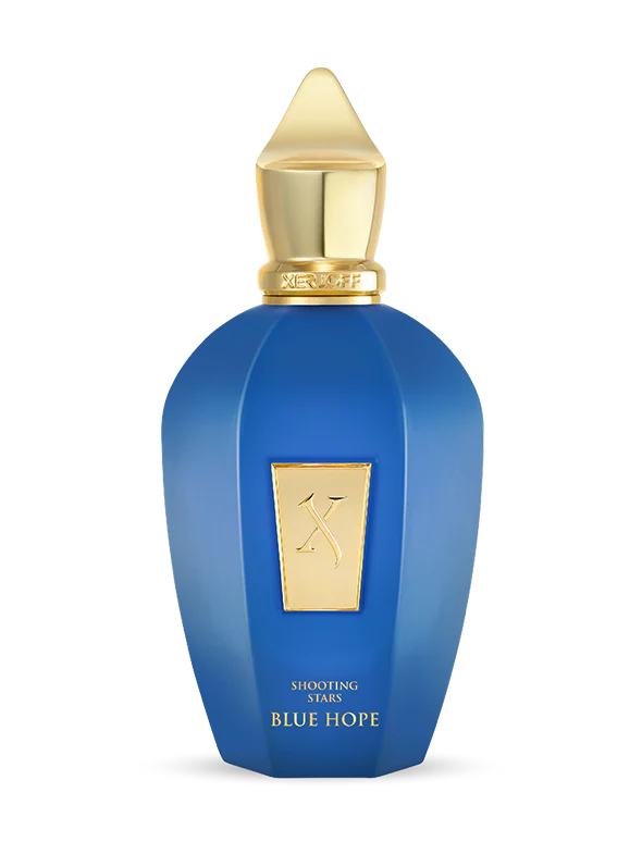 BLUE HOPE 100ML EDP - XERJOFF
