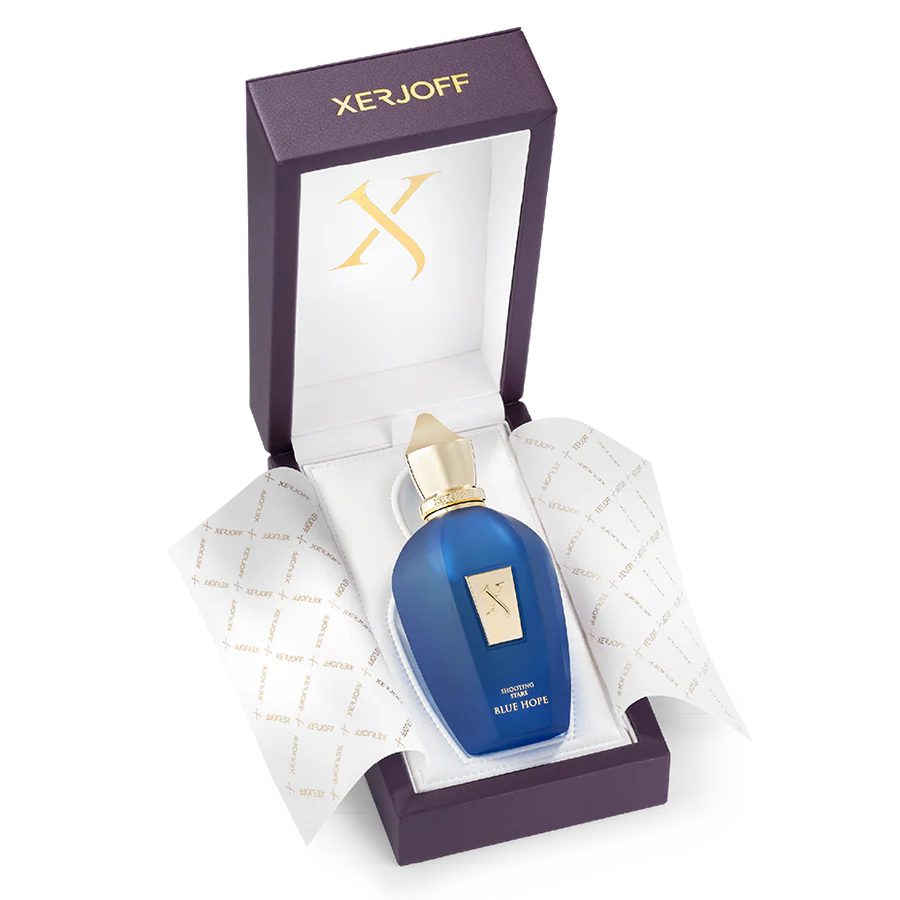 BLUE HOPE 100ML EDP - XERJOFF