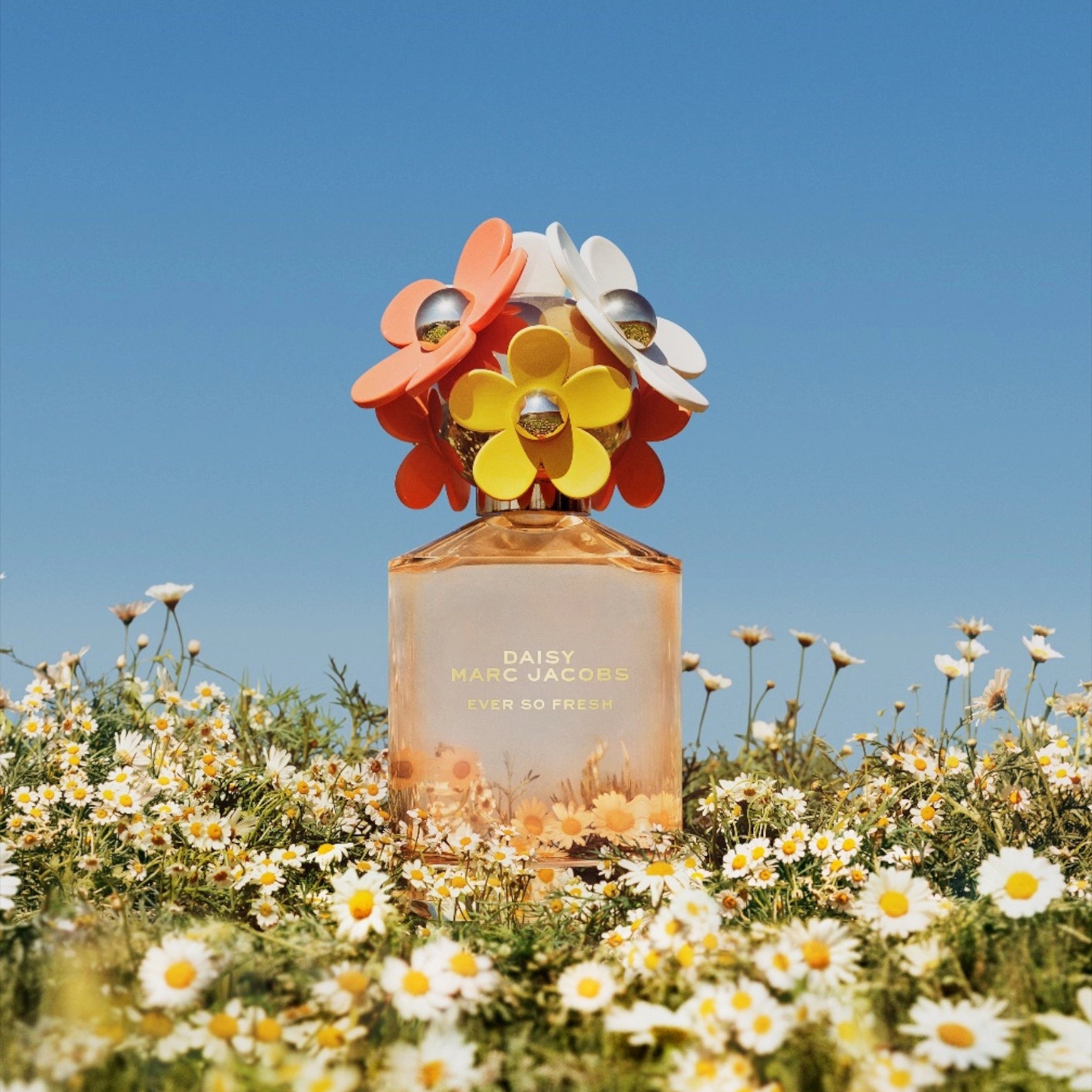 DAISY EVER SO FRESH 125ML EDT – MARC JACOBS