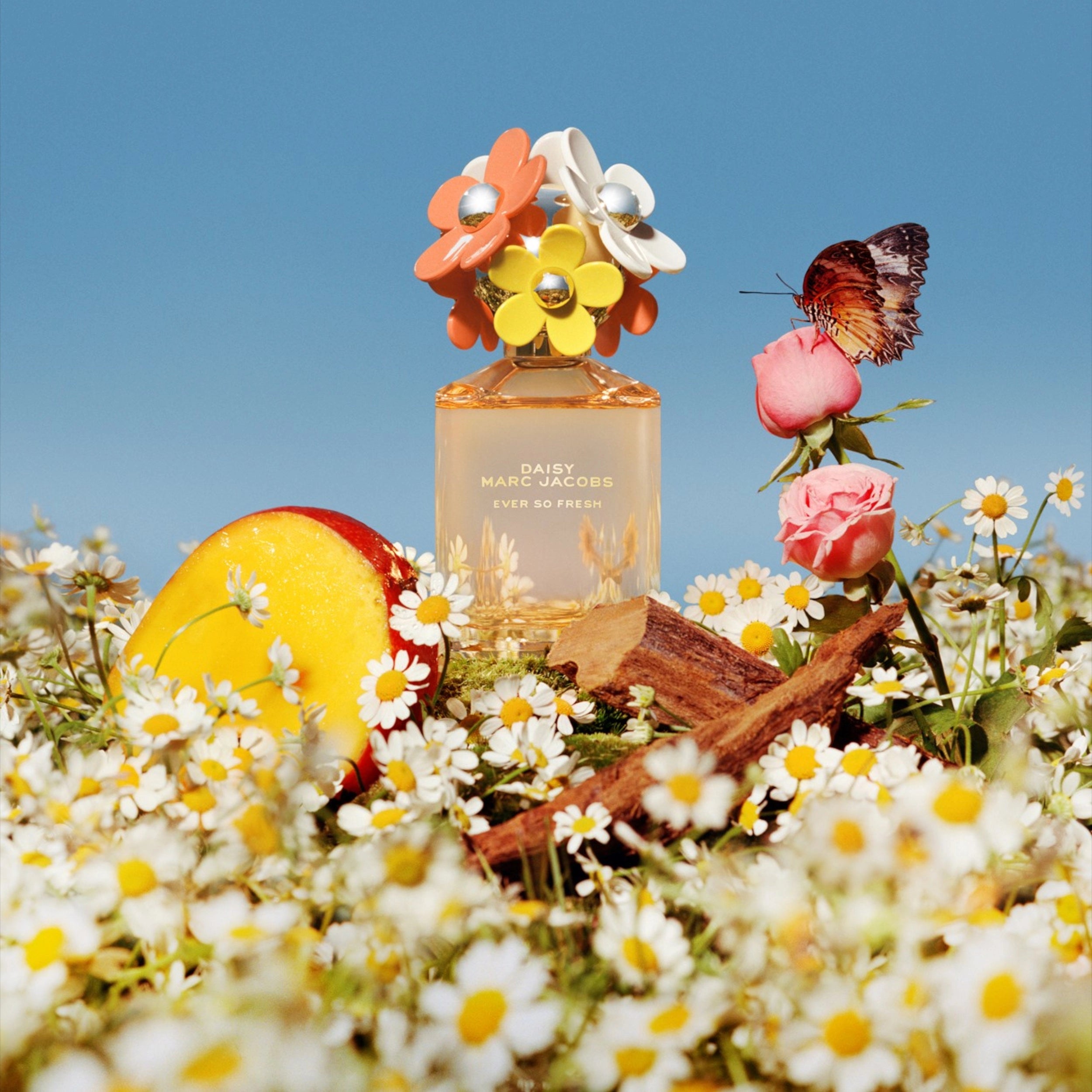 DAISY EVER SO FRESH 125ML EDT – MARC JACOBS