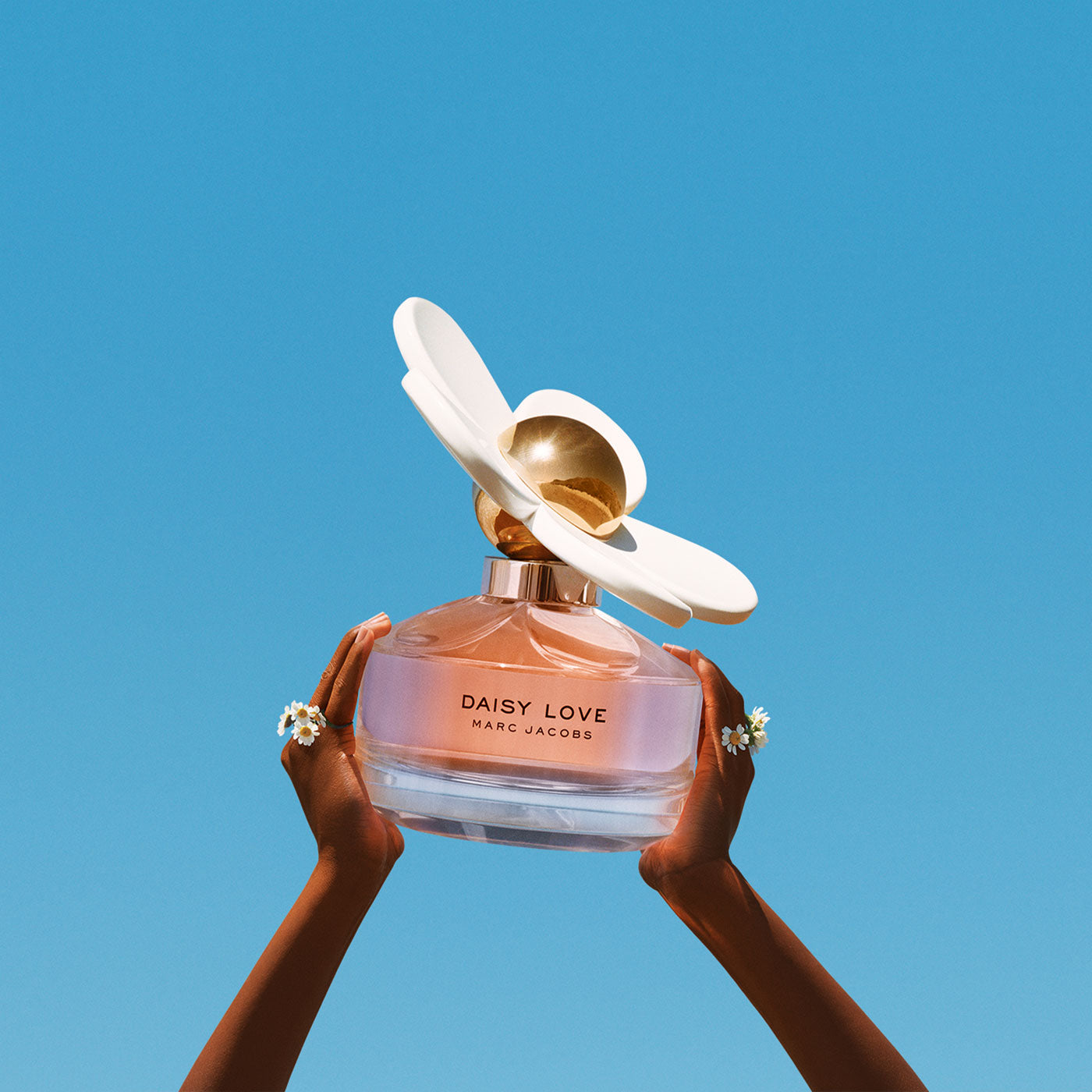 DAISY LOVE 100ML EDT – MARC JACOBS