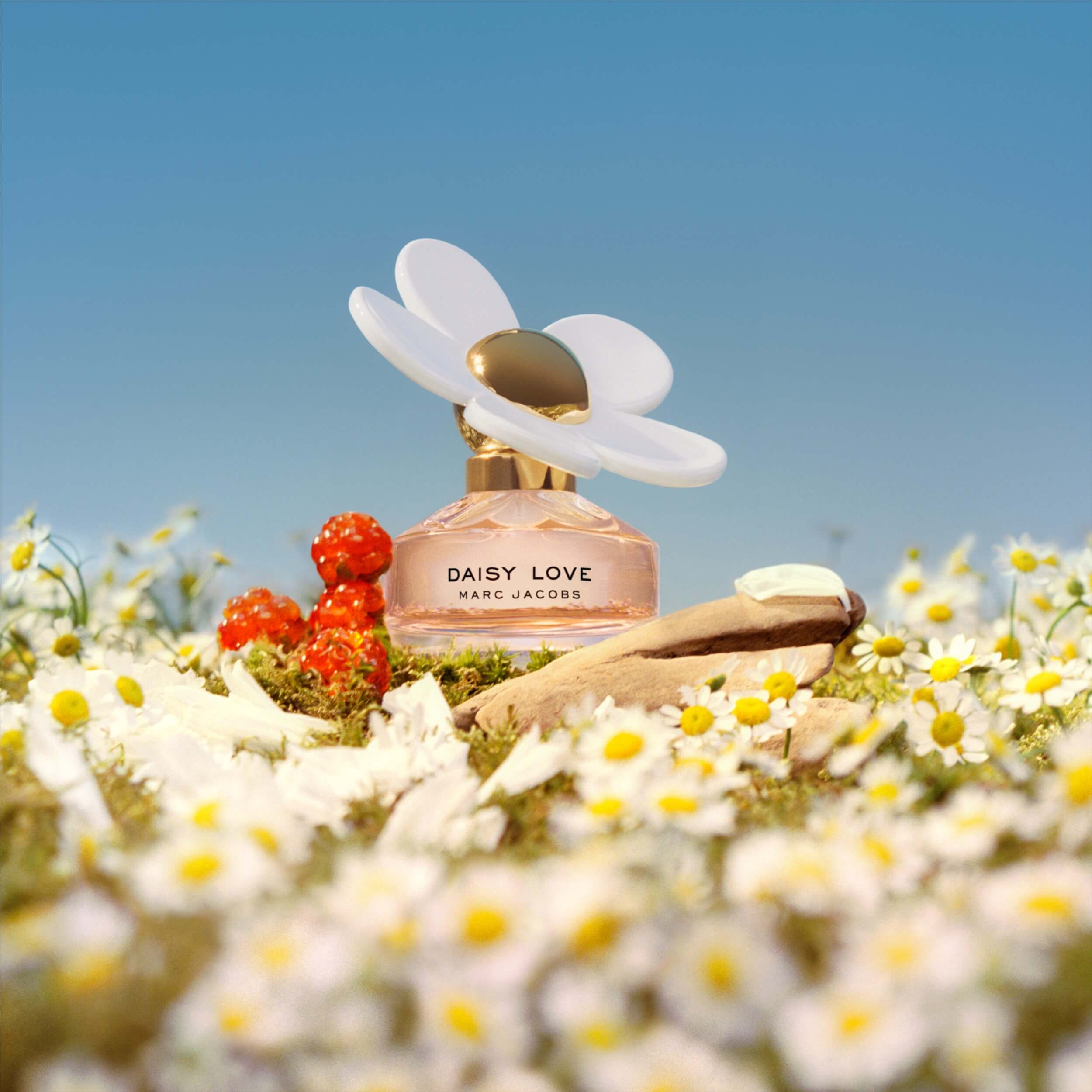 DAISY LOVE 100ML EDT – MARC JACOBS