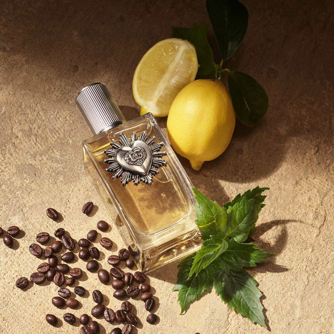 DEVOTION FOR MEN 100ML EDP – DOLCE & GABBANA