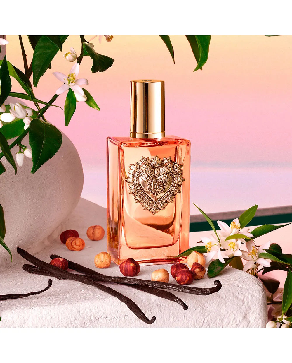 DEVOTION INTENSE 100ML EDP – DOLCE & GABBANA