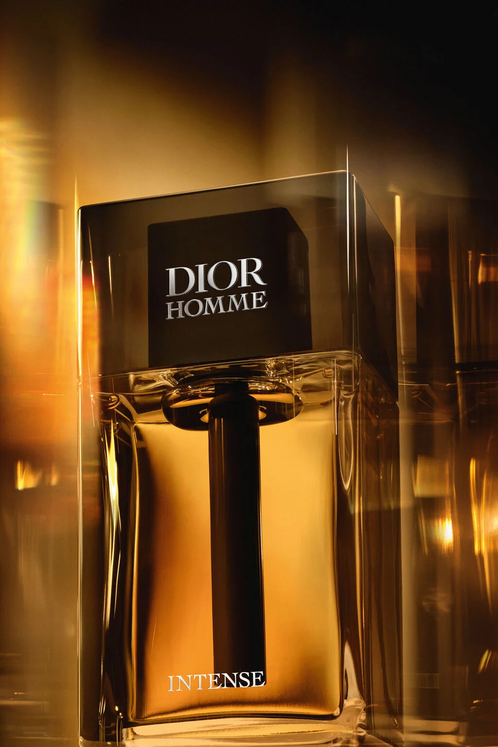 DIOR HOMME INTENSE 100ML EDP – DIOR