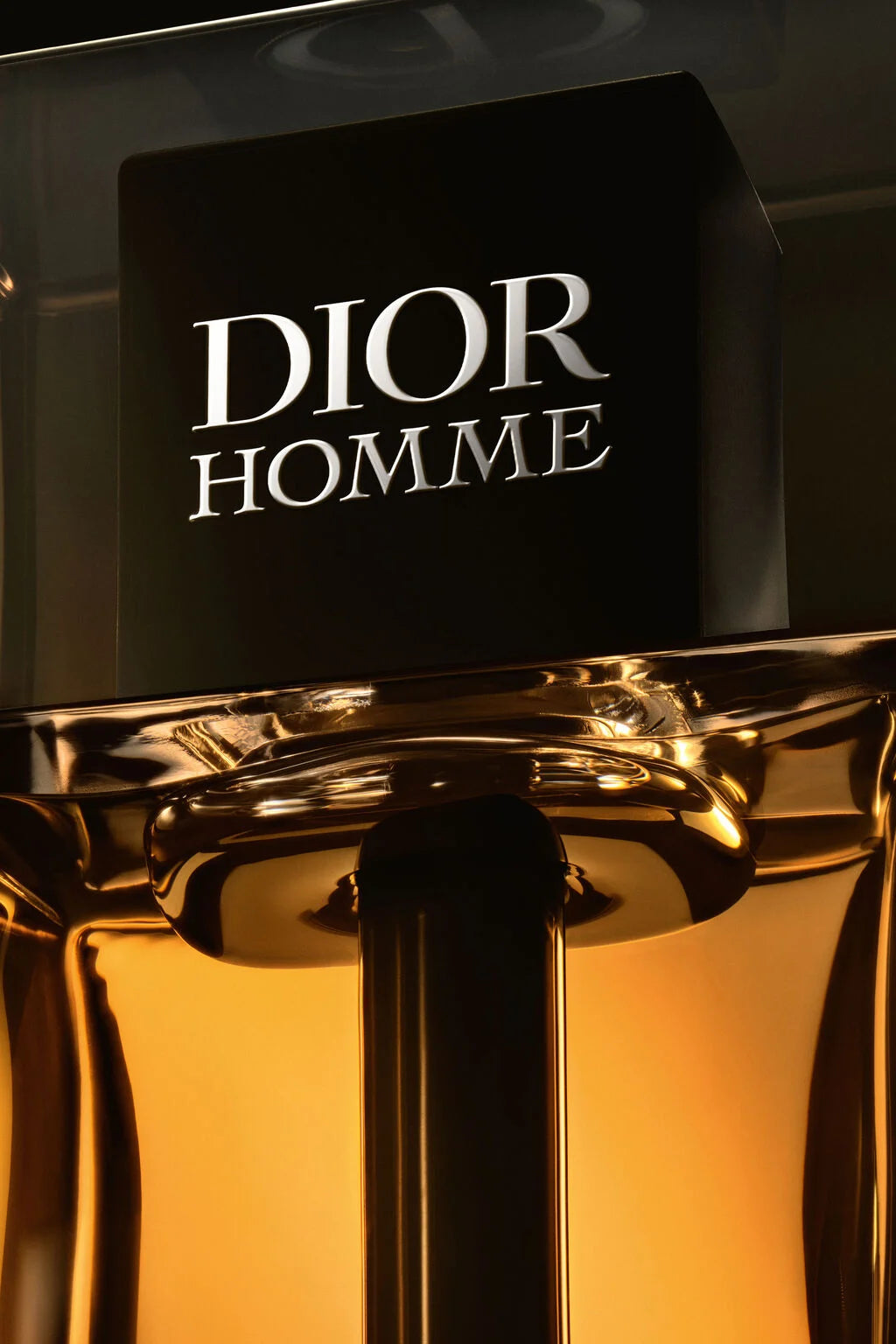 DIOR HOMME INTENSE 100ML EDP – DIOR