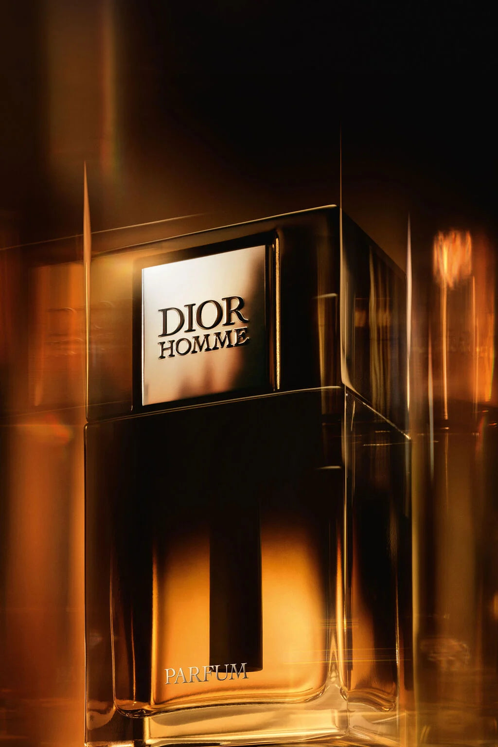 DIOR HOMME PARFUM 100ML