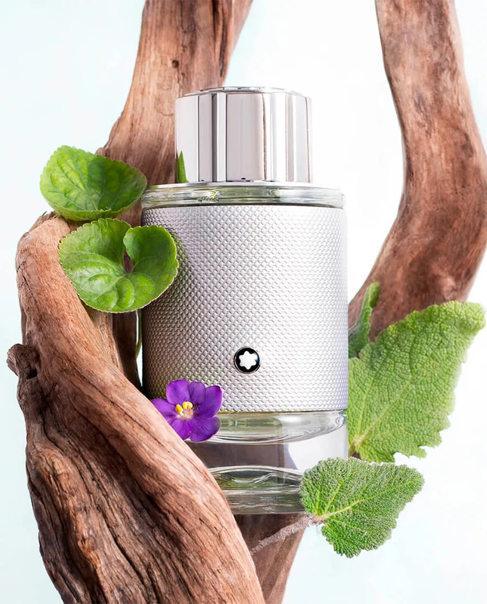 EXPLORER PLATINUM 100ML EDP – MONTBLANC