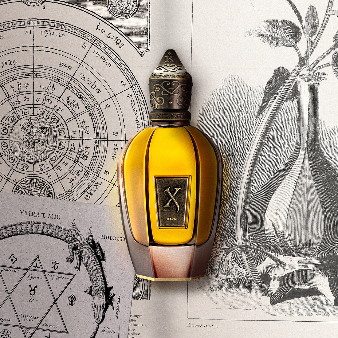 HAYAT 100ML PARFUM – XERJOFF
