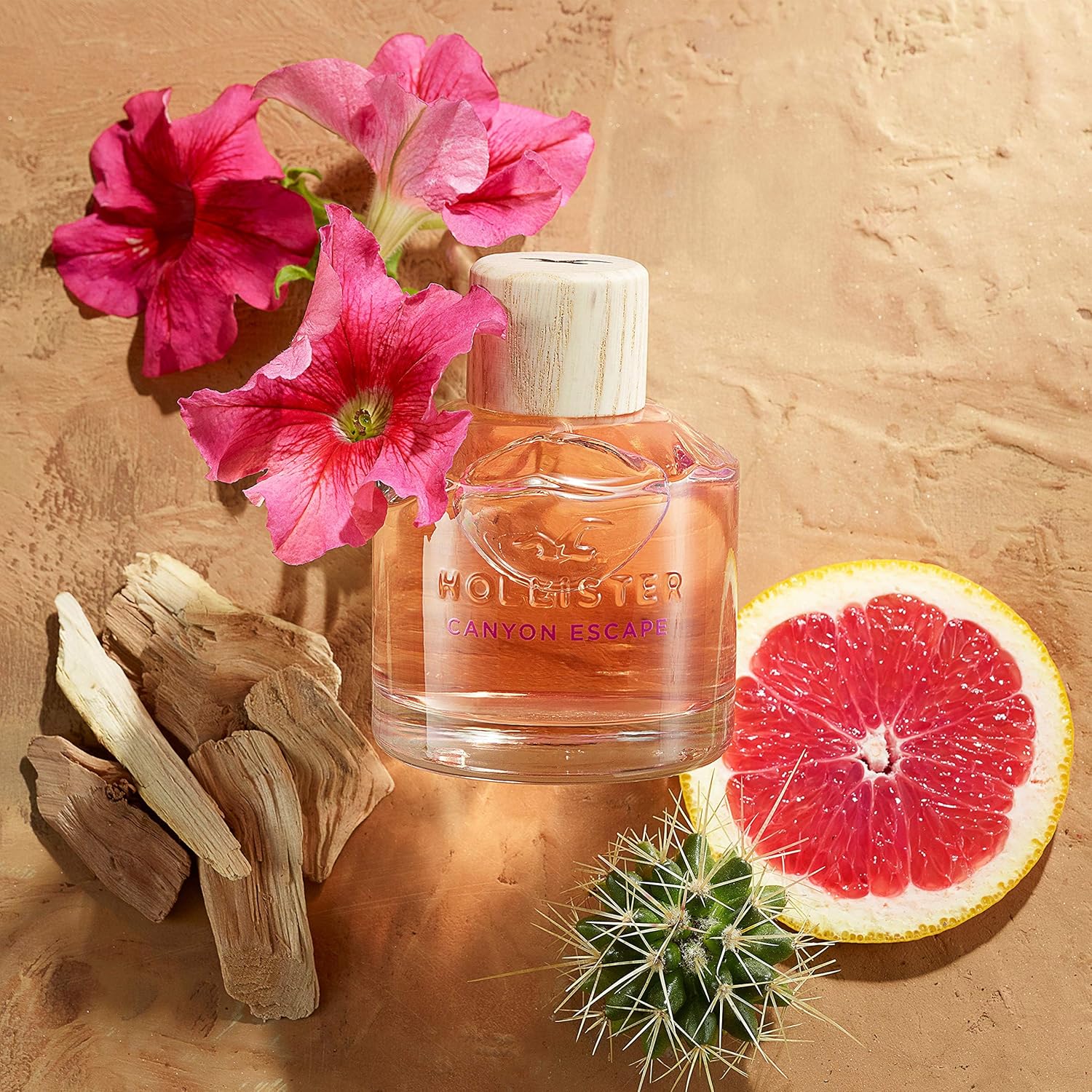 HOLLISTER CANYON ESCAPE 100ML EDP