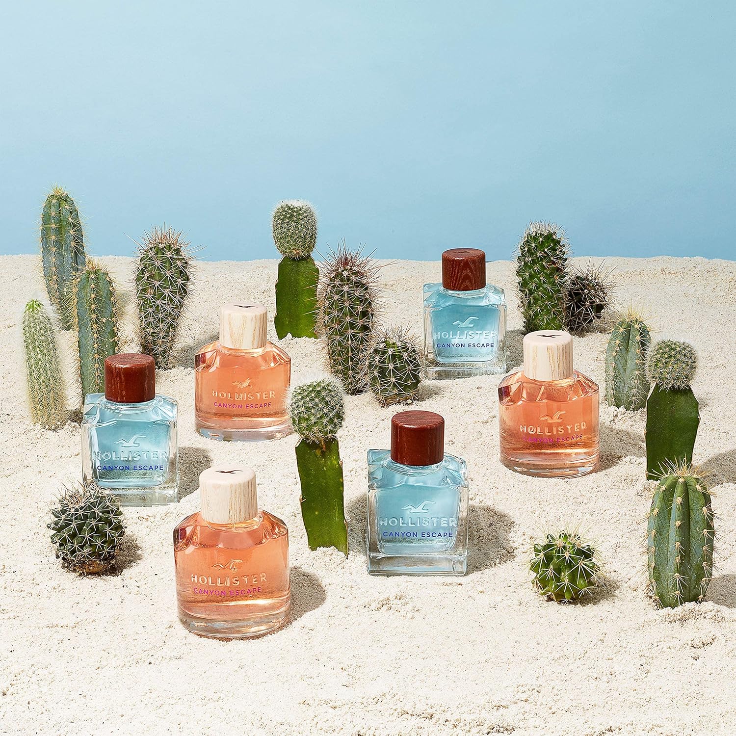 HOLLISTER CANYON ESCAPE 100ML EDP