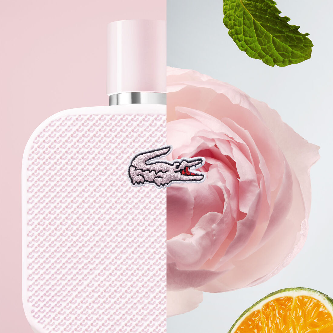 L.12.12 ROSE 100ML EDP – LACOSTE
