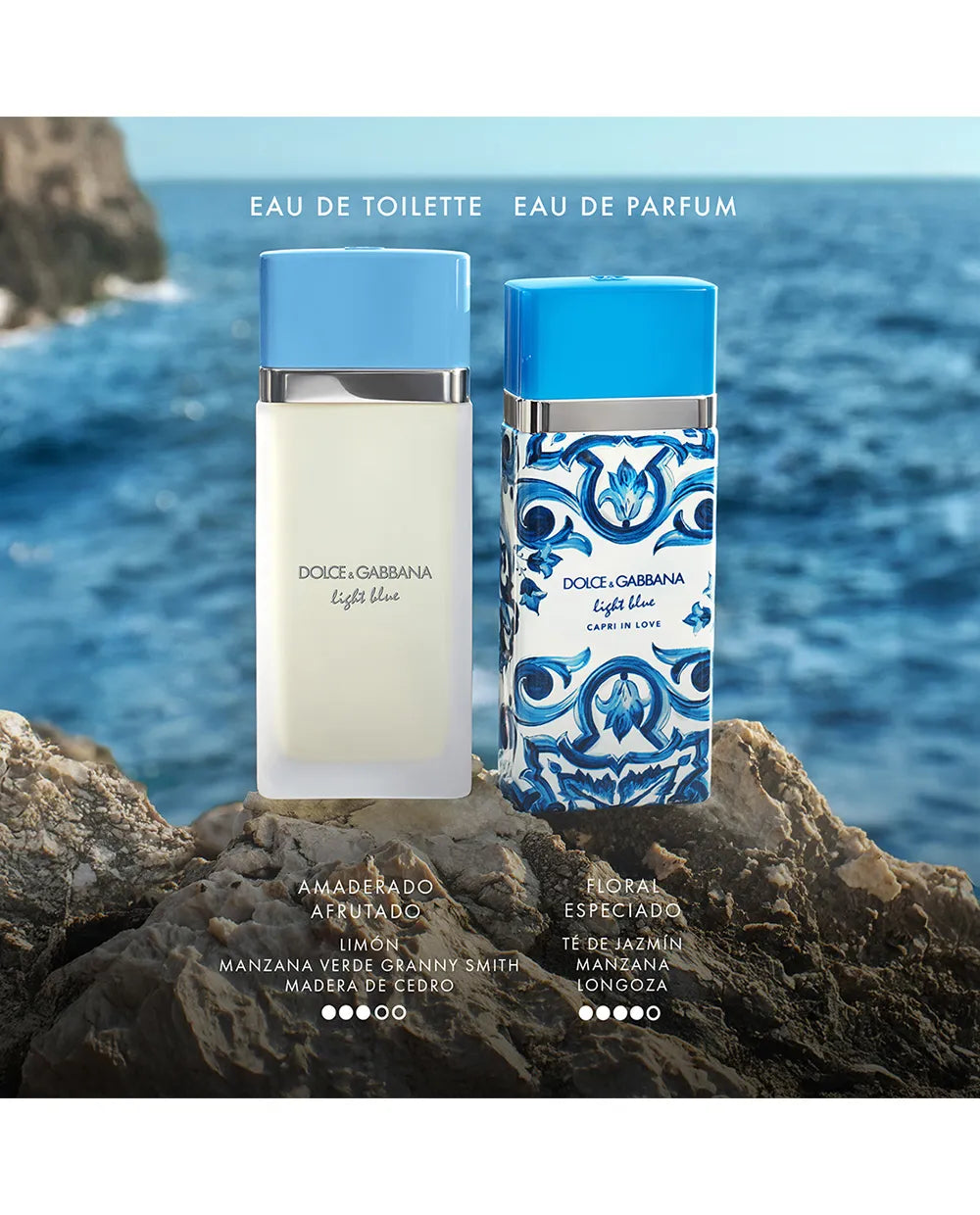 LIGHT BLUE 100ML EDT – DOLCE & GABBANA