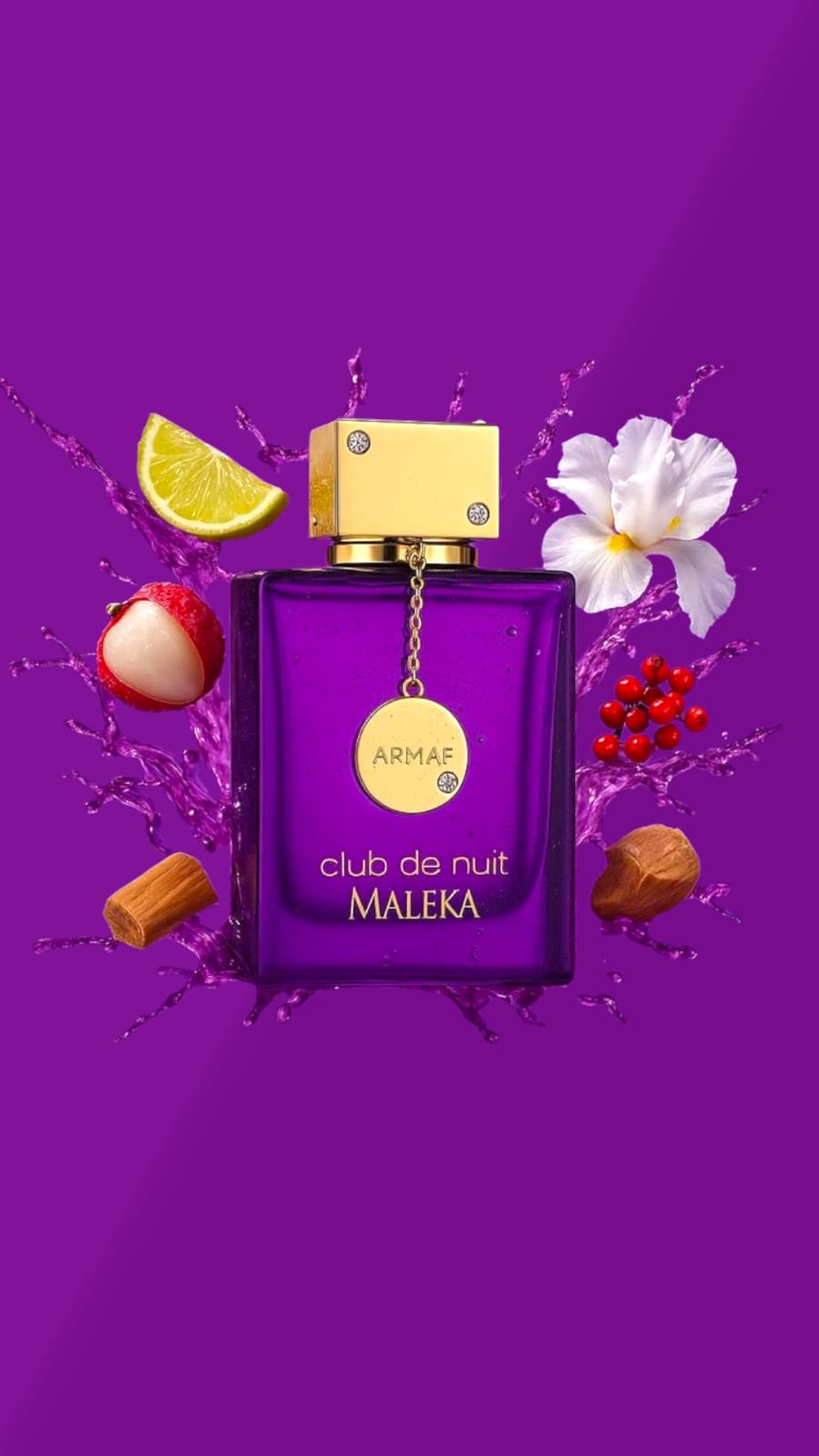 CLUB DE NUIT MALEKA 100ML EDP – ARMAF