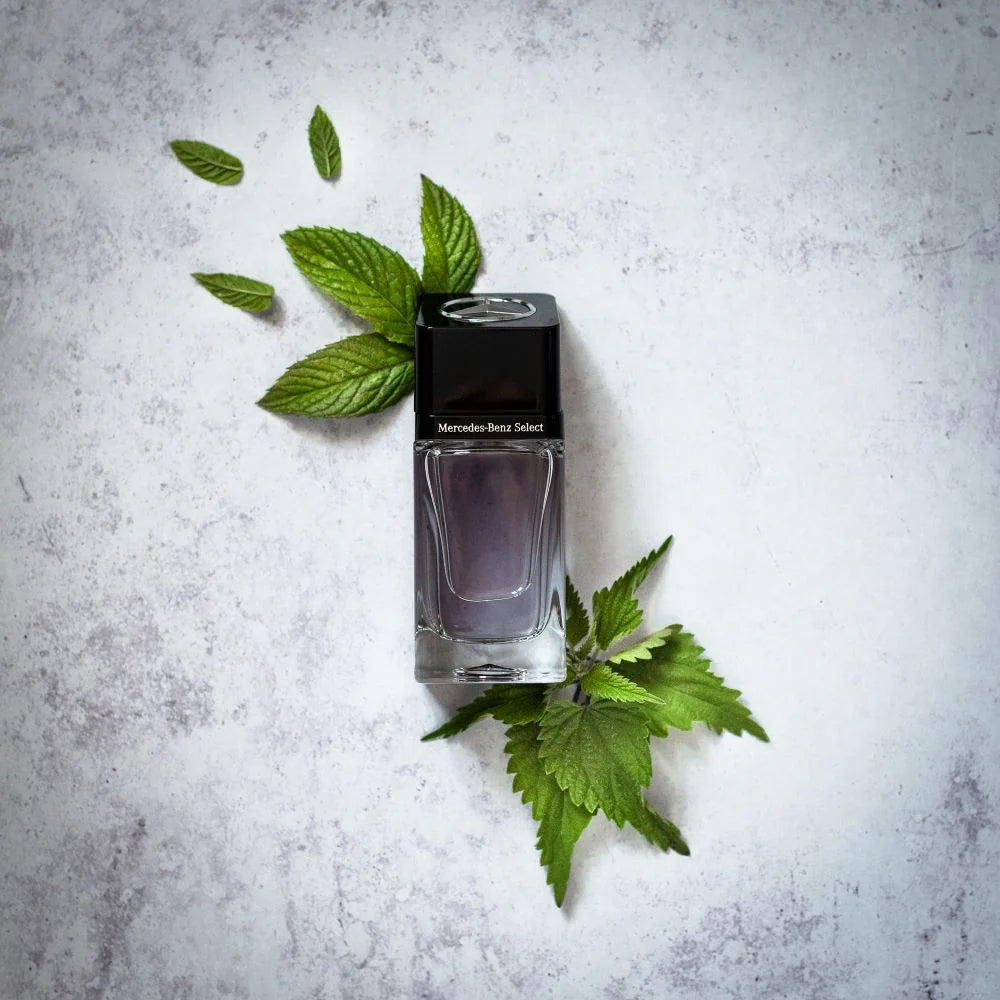 MERCEDES BENZ SELECT DAY 100ML EDT