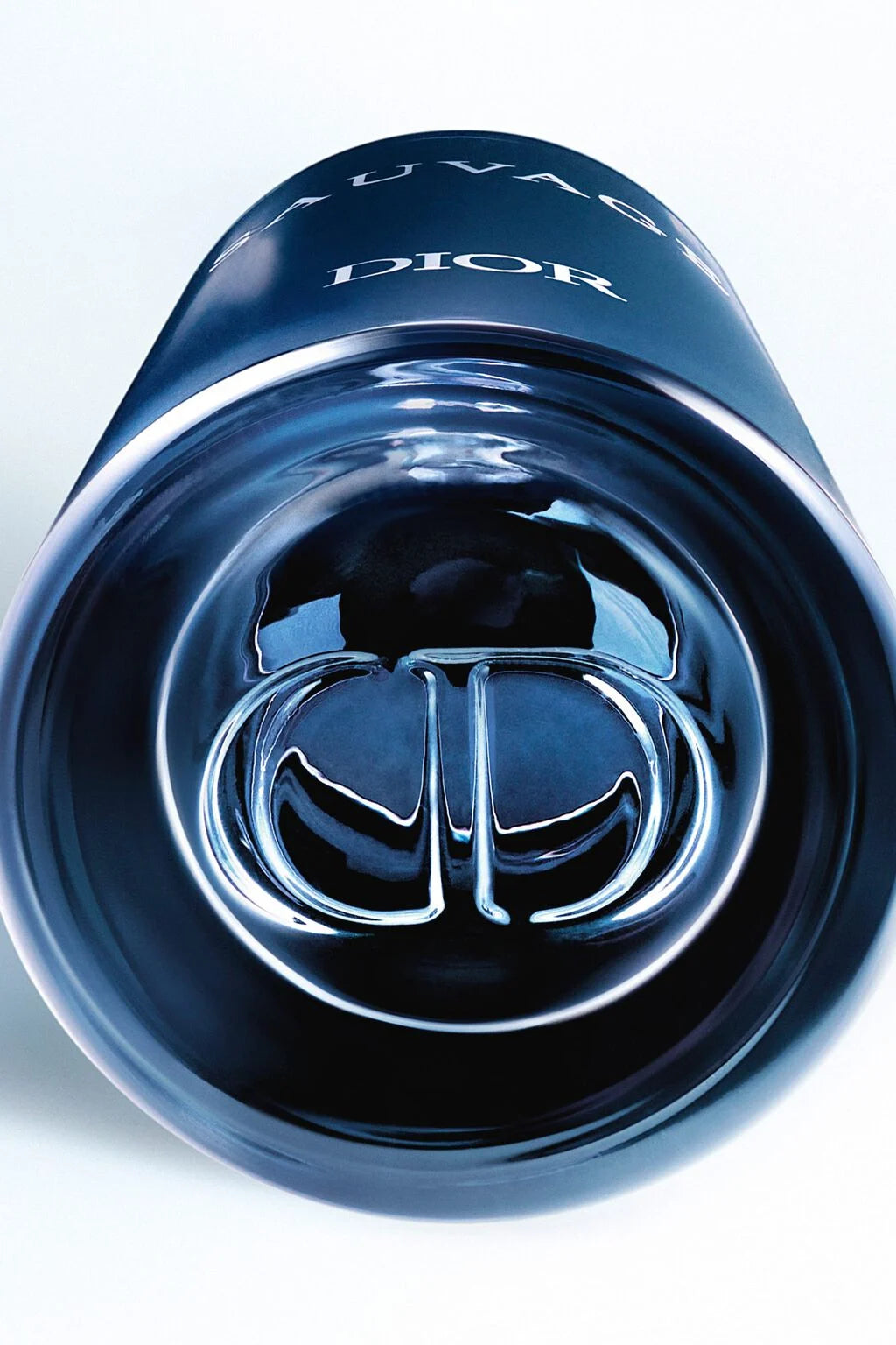 SAUVAGE PARFUM 100ML – DIOR