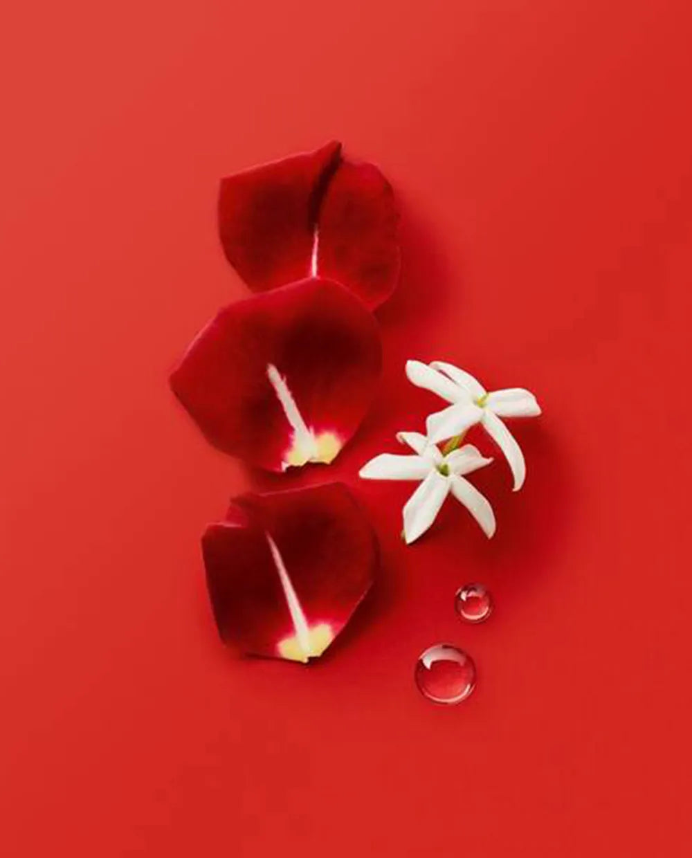 SÌ PASSIONE 100ML EDP – GIORGIO ARMANI