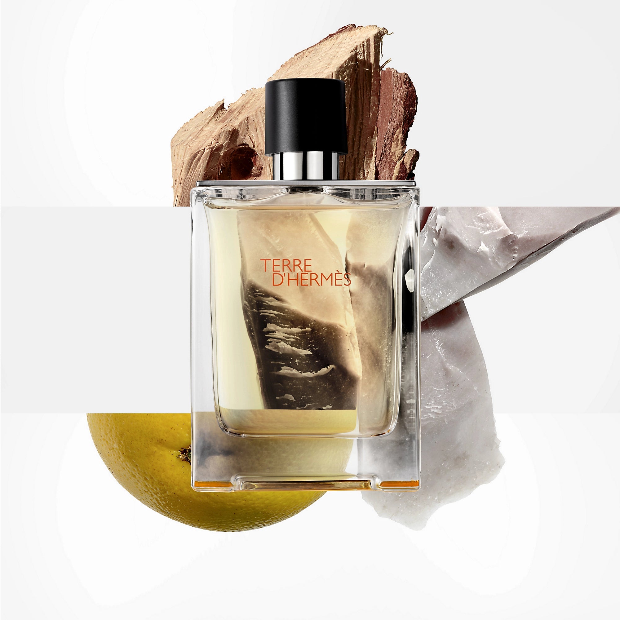 TERRE D’HERMÈS 100ML EDT – HERMÈS