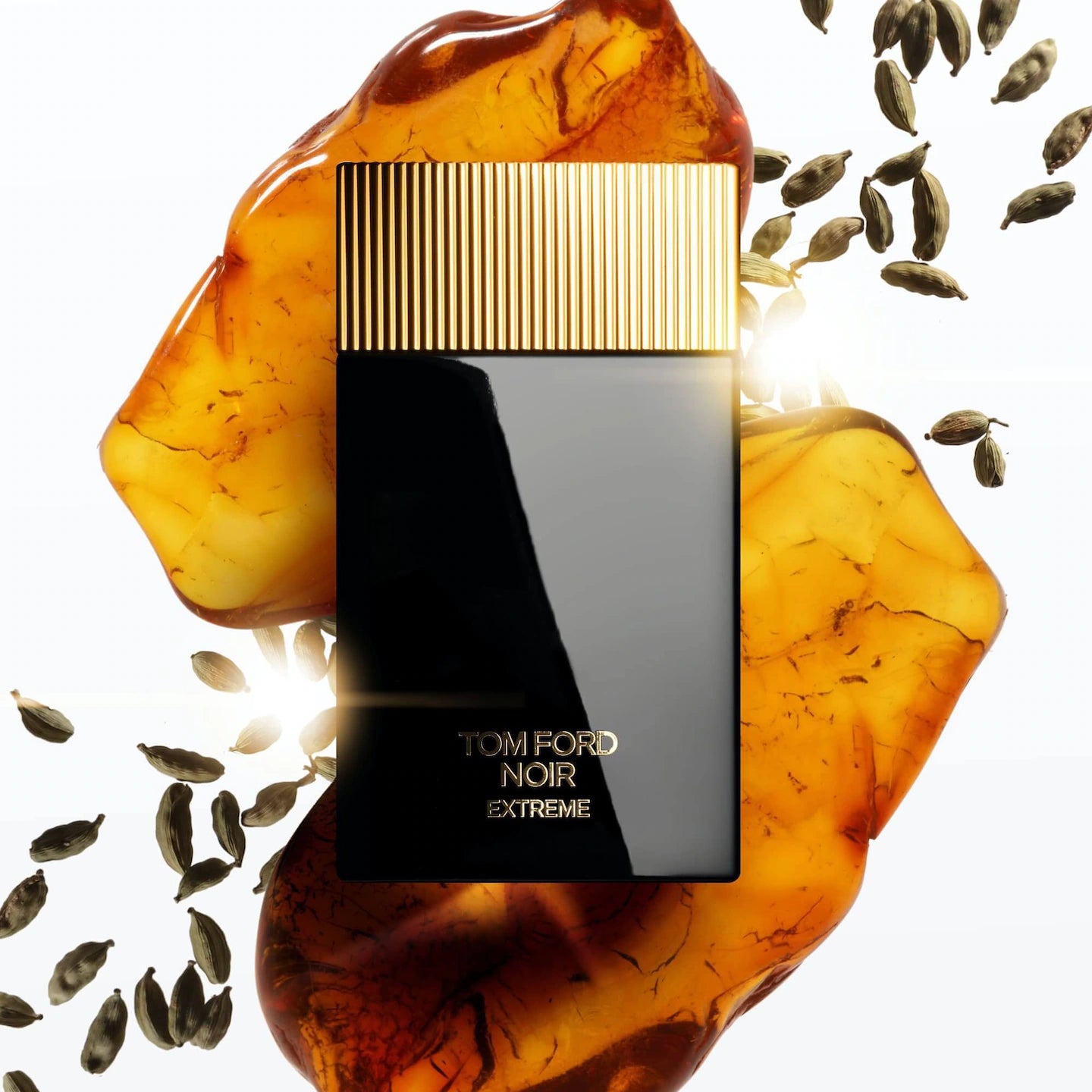 TOM FORD NOIR EXTREME 100ML EDP
