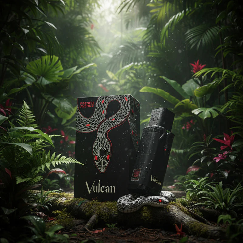 VULCAN BLACK FRIDAY 100ML EDP – FRENCH AVENUE