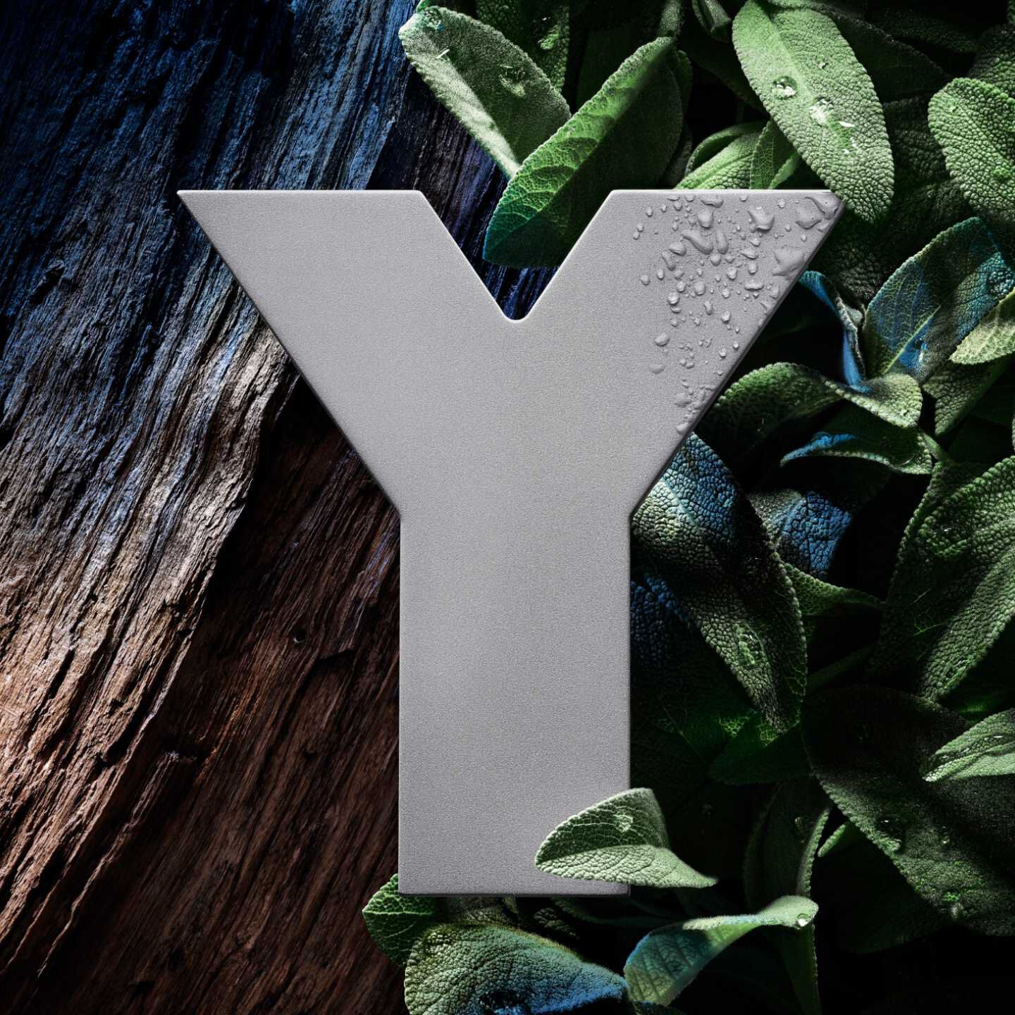 Y EAU DE PARFUM 100ML – YVES SAINT LAURENT