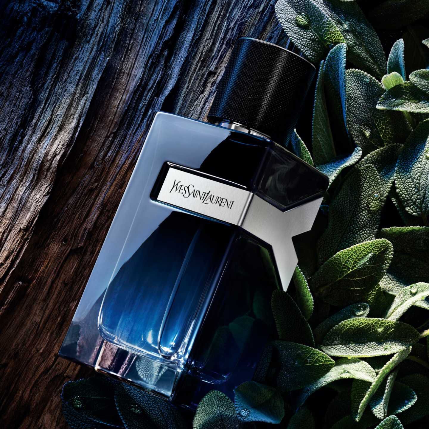 Y EAU DE PARFUM 100ML – YVES SAINT LAURENT