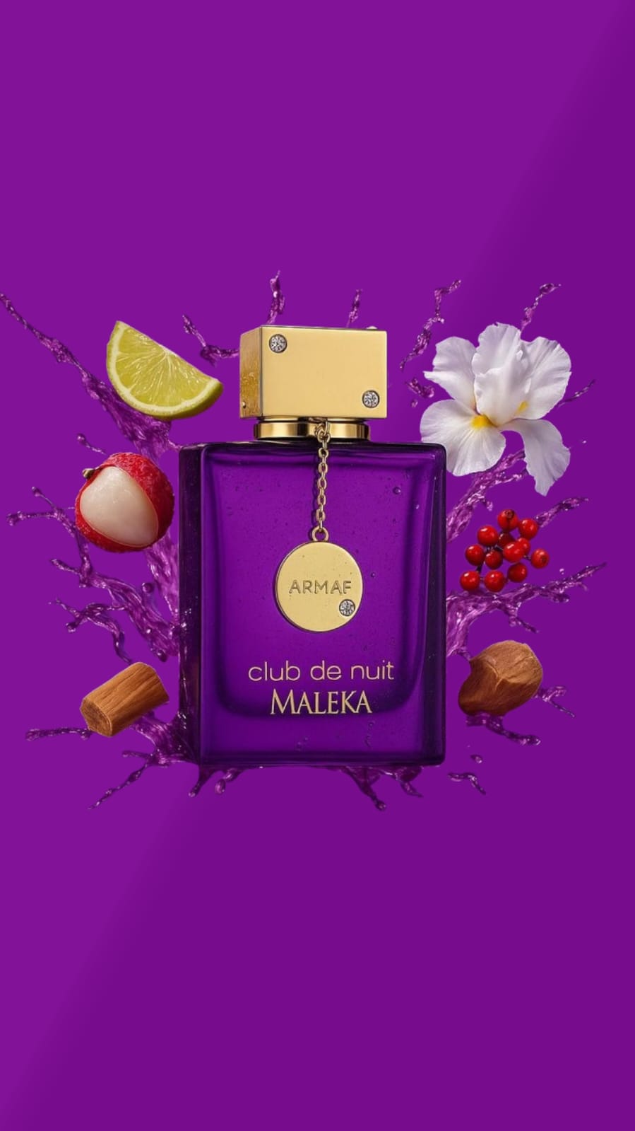 CLUB DE NUIT MALEKA 100ML EDP – ARMAF