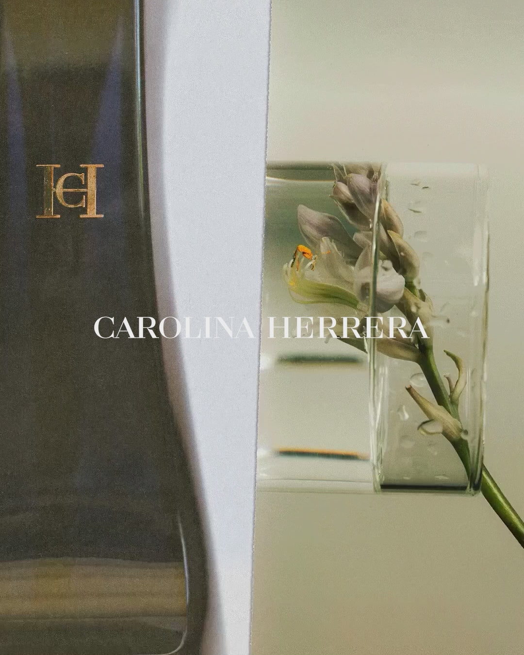GOOD GIRL JASMINE ABSOLUTE 80ML EDP – CAROLINA HERRERA